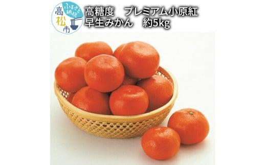 高糖度　プレミアム小原紅早生みかん　約5kg【2025-11月中旬～2026-1月中旬配送】