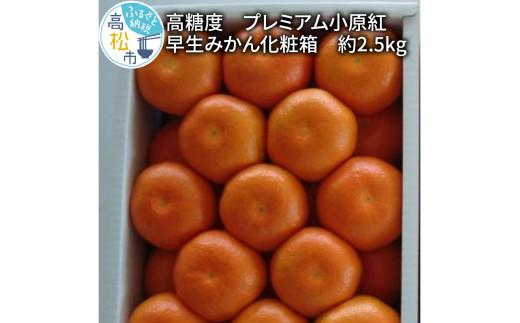 高糖度　プレミアム小原紅早生みかん化粧箱　約2.5kg【2025-11月中旬～2026-1月中旬配送】