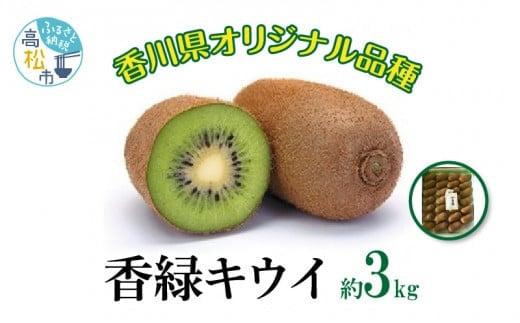 香緑キウイ　約3kg【2025-11月下旬～2026-3月下旬配送】