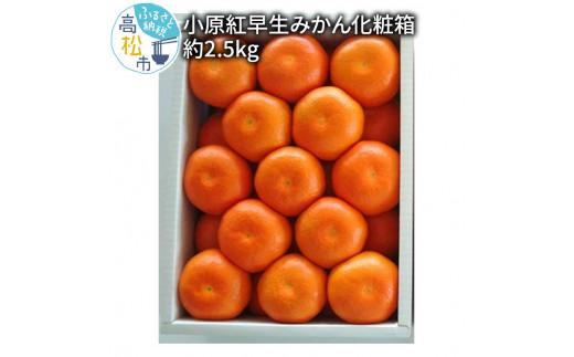 小原紅早生みかん化粧箱　約2.5kg【2025-11月中旬～2026-1月中旬配送】