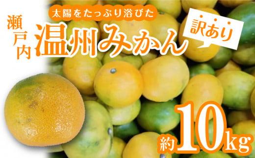 【訳あり】太陽たっぷり浴びた　瀬戸内温州みかん　約10kg【2025-10月上旬～2026-1月中旬配送】