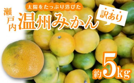 【訳あり】太陽たっぷり浴びた　瀬戸内温州みかん　約5kg【2025-10月上旬～2026-1月中旬配送】