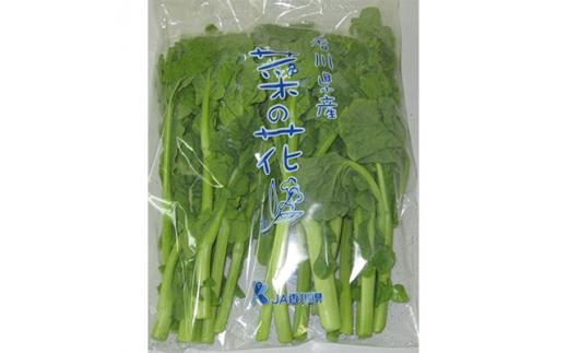 旬の野菜 菜の花 (袋入り) 約2kg【2025-12月上旬～2026-3月下旬配送】