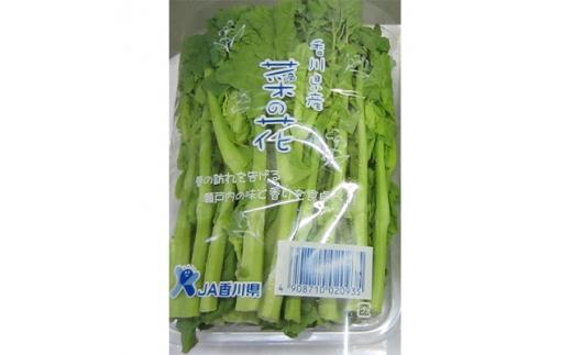 旬の野菜 菜の花 (パック入り) 約600g【2025-12月上旬～2026-3月下旬配送】