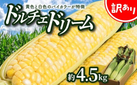 ＼寄附額改定／訳あり ご家庭用ドルチェドリーム 約4.5kg【2026年6月上旬～2026年7月上旬配送】