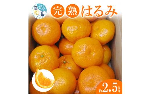 完熟 はるみ 約2.5kg【2026-2月下旬～2026-3月下旬配送】