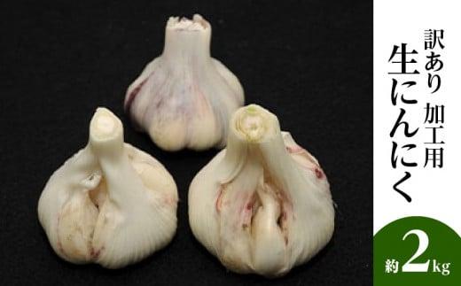 加工用 訳あり 生にんにく 約2kg【2026-5月上旬～2026-6月上旬配送】