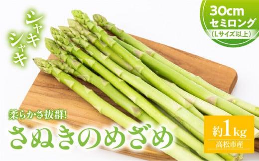 柔らかさ抜群! さぬきのめざめセミロング30cm(Lサイズ以上) 約1kg【2026-3月上旬～2026-3月下旬配送】