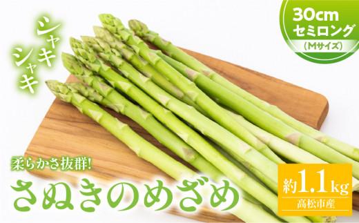 さぬきのめざめセミロング30cm(Mサイズ) 約1.1kg【2026-3月上旬～2026-3月下旬配送】