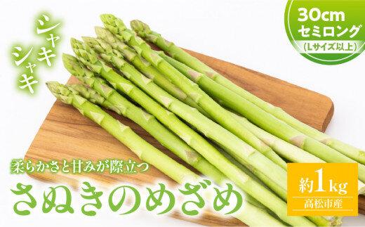 柔らかさと甘みが際立つ さぬきのめざめセミロング30cm(Lサイズ以上) 約1kg【2026-3月上旬～2026-6月下旬配送】