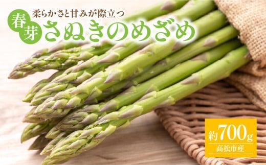 柔らかさと甘みが際立つ さぬきのめざめ春芽 約700g【2026-1月下旬～2026-2月下旬配送】