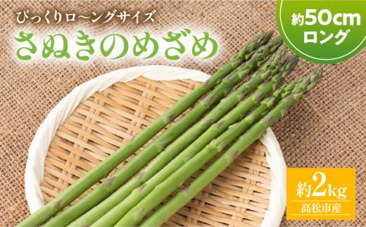 びっくりロ～ングサイズ さぬきのめざめロング約50cm 約2kg【2026-2月中旬～2026-4月下旬配送】