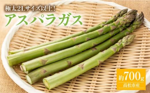 期間限定企画 極太2Lサイズ以上! アスパラガス 約700g【2026-3月上旬～2026-4月下旬配送】