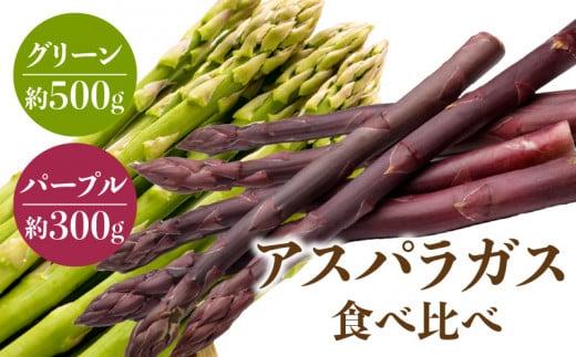 グリーン(約500g)・パープル(約300g)アスパラガス食べ比べセット【2026-3月上旬～2026-9月下旬配送】