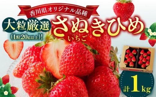 大粒厳選(1粒20g以上)!さぬきひめいちご 約1kg【2026-3月上旬～2026-3月下旬配送】