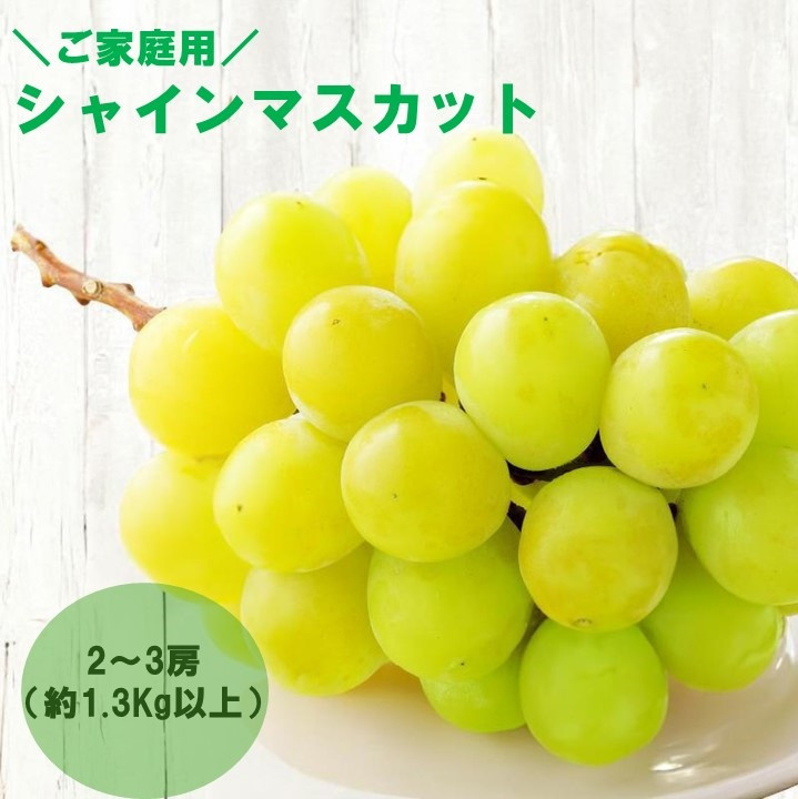 【感謝企画】【8月下旬～10月初旬発送】ご家庭用シャインマスカット　2～3房（約1.3Kg以上）