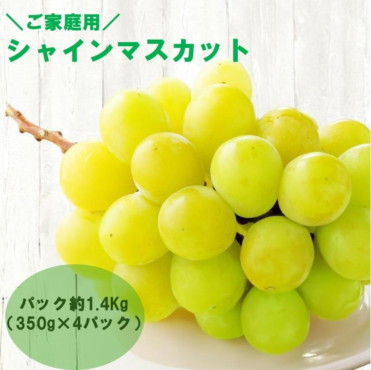 【感謝企画】【8月下旬～10月初旬発送】ご家庭用シャインマスカットパック約1.4Kg（350g×4パック）