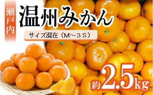 【先行予約】瀬戸内温州みかん　M～3Sサイズ　約2.5kg【2026年10月上旬～2027年1月下旬配送予定】