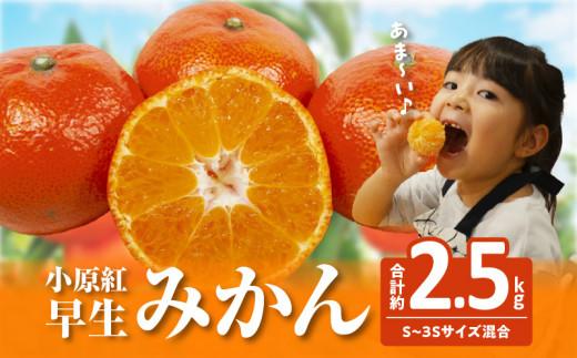 【訳あり】ご家庭用小原紅早生みかん(サイズおまかせ)　約2.5kg【11月下旬～1月下旬配送予定】