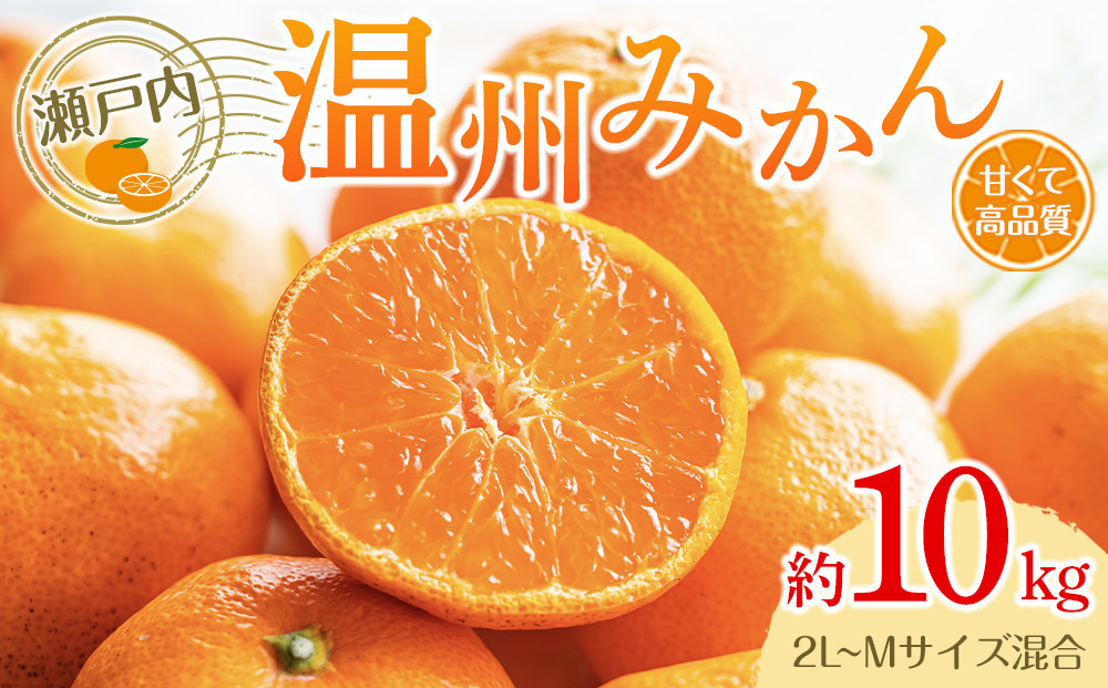 瀬戸内温州みかん（2L～Mサイズ混合）約10kg【2025-10月中旬～2026-1月下旬配送】