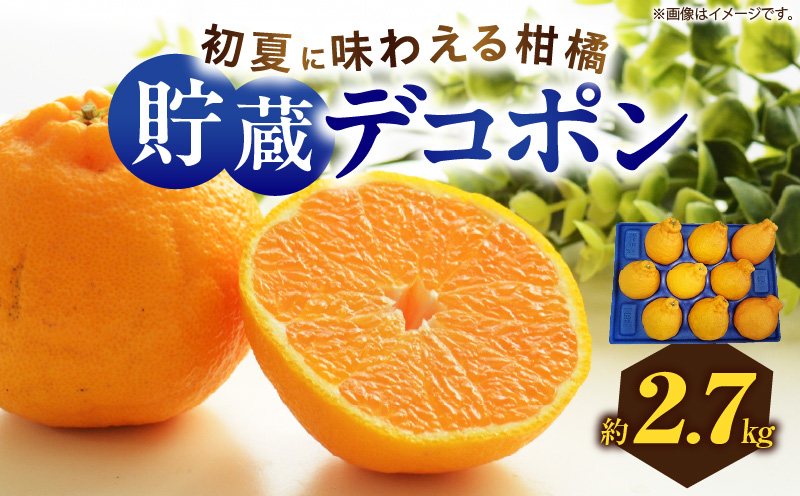 初夏に味わえる柑橘 貯蔵デコポン 約2.7kg[2024年5月中旬〜2024年6月下旬配送]