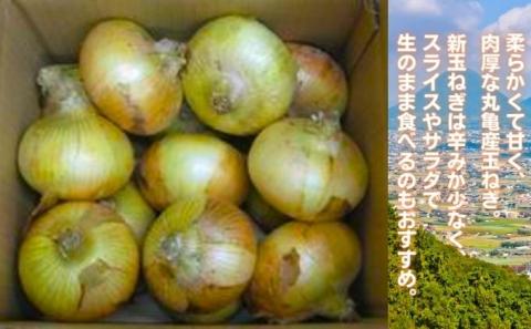 丸亀産　新玉ねぎ　10kg