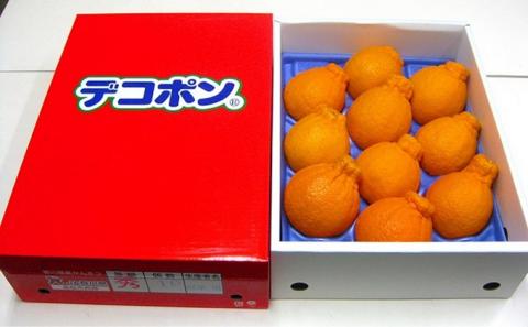 デコポン（約2.8kg）