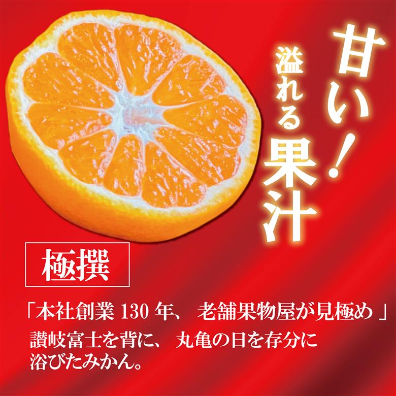 【2026年11月上旬より順次発送】【極撰】温州みかん 約 5kg フルーツ 果物 柑橘 柑橘類 デザート おやつ 旬 産地直送 冬の味覚 旬の果物 旬のフルーツ お取り寄せ 取り寄せ 送料無料 みかん 香川 温州ミカン ミカン 蜜柑
