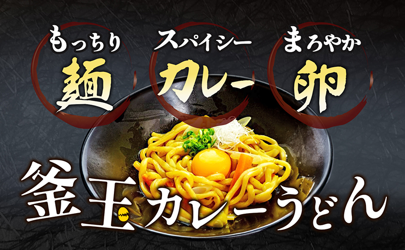うどん 香川 釜玉 カレーうどん 24食分（2人前×12個） 宮武讃岐製麺所 釜玉うどん 讃岐うどん 麺 麺類 個包装 常温 常温保存 日持ち 備蓄 讃岐 香川県 丸亀 丸亀市