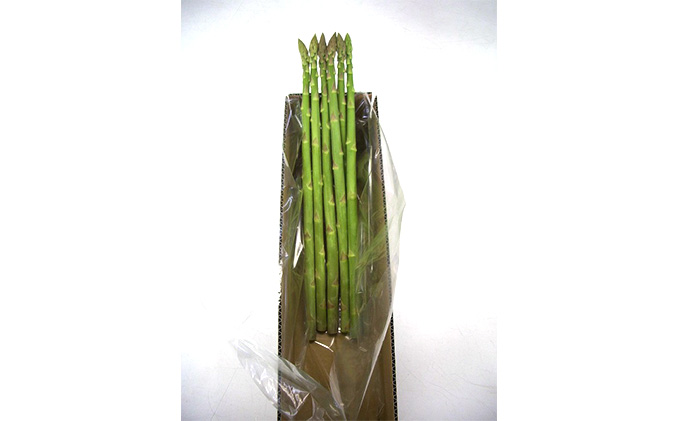 JA香川県 さぬきのめざめ（春芽・レギュラーサイズ）15束 アスパラガス 期間限定