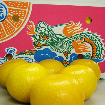 丸龍はっさく　10kg