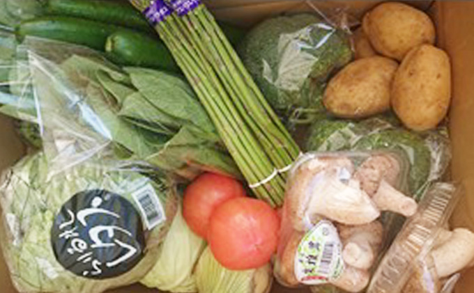 【定期便3回】春夏秋冬 丸亀の［冬お野菜セット］