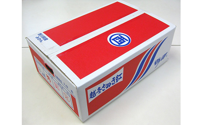 越冬さぬき紅みかん（約2.7kg）