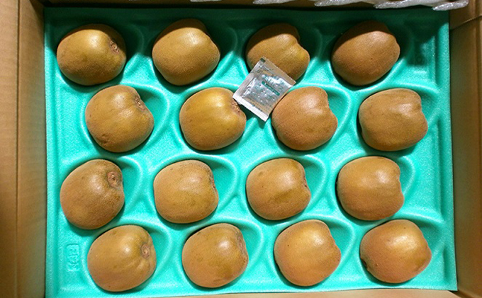 さぬきゴールドキウイ（約3kg）