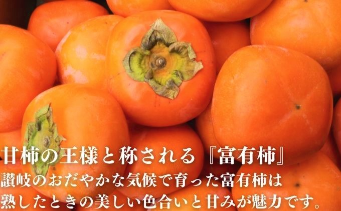 富有柿 約7.5kg 讃州丸亀 柿 甘柿 フルーツ 果物 デザート おやつ 旬 産地直送 冬の味覚 旬の果物 旬のフルーツ お取り寄せ 取り寄せ 送料無料 香川県 香川 10月中旬より発送開始