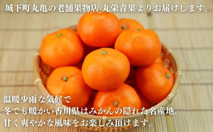 みかん のどかな讃岐路で育った 温州みかん 約 5kg フルーツ 果物 柑橘 柑橘類 デザート おやつ 旬 産地直送 冬の味覚 旬の果物 旬のフルーツ お取り寄せ 取り寄せ 送料無料 香川 11月中旬以降発送開始