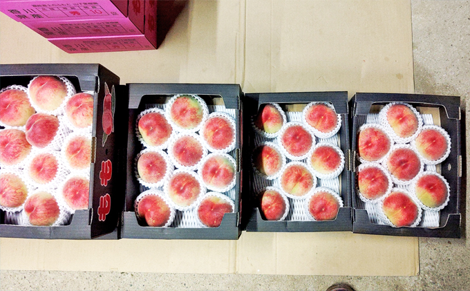 山下果樹園の桃