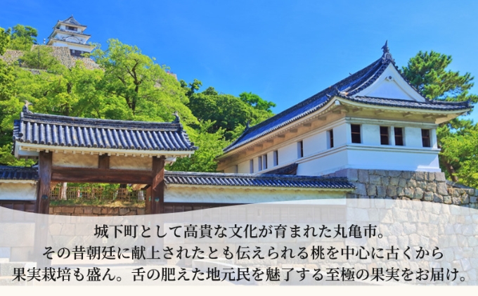 フルーツ 定期便 12ヶ月 城下町の果実 百果繚乱 セット 詰め合わせ いちご みかん デコポン はっさく びわ 桃 ピオーネ 梨 シャインマスカット ゴールドキウイ 柿 富有柿 さぬきひめ せとか 果物 12回 1年 お楽しみ 香川