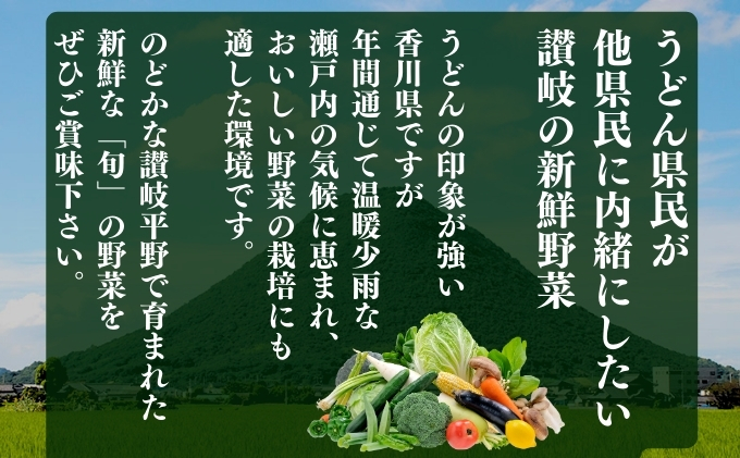 のどかな讃岐平野で育てた 旬の野菜 詰め合わせセット　今が旬 健康 野菜ボックス ヘルシー食材
