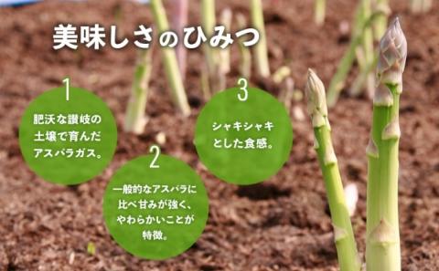 アスパラガス さぬきのめざめ 春芽 1kg アスパラ グリーンアスパラ 野菜 旬 旬の野菜 季節の野菜 産地直送 香川 香川県 丸亀 丸亀市 冷蔵 冷蔵配送 先行 予約 先行予約 2026 2026年 3月以降発送開始