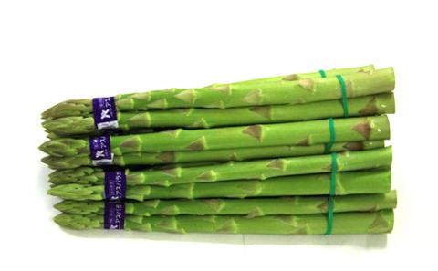 アスパラガス 早出し さぬきのめざめ 春芽 約800g 期間限定 アスパラ グリーンアスパラ 野菜 旬 旬の野菜 季節の野菜 産地直送 香川 香川県 丸亀 丸亀市 冷蔵 冷蔵配送 先行 予約 2026 2026年 2月上旬発送開始