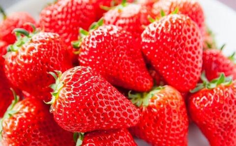 いちご 先行予約 さぬきひめ 8パック 丸亀産 フルーツ 果物 デザート おやつ 旬 産地直送 旬の果物 旬のフルーツ お取り寄せ 取り寄せ 送料無料 冷蔵 冷蔵配送 2025 先行 予約 2025年 香川 香川県 丸亀市