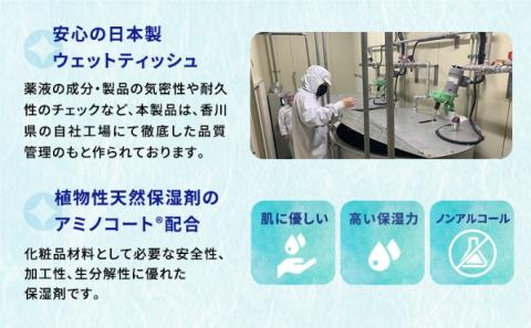 ウェットティッシュ 600枚 ( 本体 ＋ 詰め替え ) からだ用 高密封 バケツ セット ウェットシート ボディ ボディシート 汗拭きシート ノンアルコール 国産 日本製 大容量 災害 備蓄 ローリングストック 防災グッズ 備蓄用 日用品 消耗品 介護用品