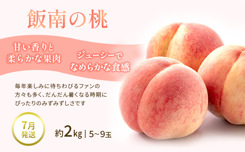 【夏にしか出逢えない丸亀自慢のフルーツ】 夏のフルーツ定期便 全3回 果物 フルーツ 定期便 桃 ピオーネ シャインマスカット セット お楽しみ 香川県 丸亀市