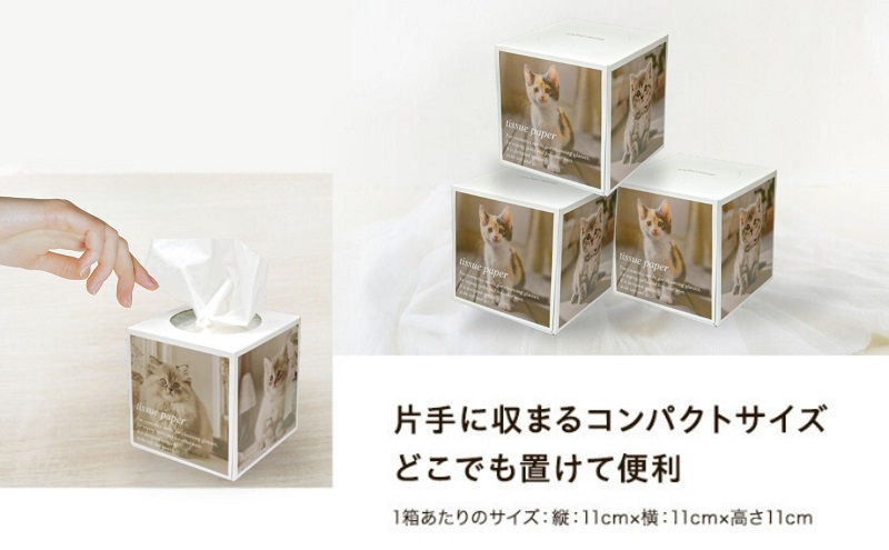 キューブ ティッシュ 場所をとらない キューブ型 ティッシュ 14箱 ティッシュペーパー 日用品 消耗品 生活用品 ボックスティシュ ティシュペーパー ティシュ ティシュー ティシューペーパー ノベルティ 香川