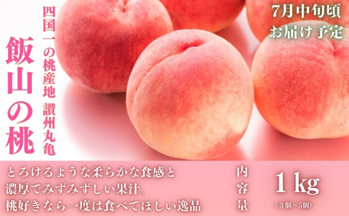 【全3回】フルーツ定期便「丸亀市夏のいいとこどり定期便」～少人数でも楽しみやすい食べきり版～/シャインマスカット 桃 ピオーネ  定期配送 頒布会 果実 果物