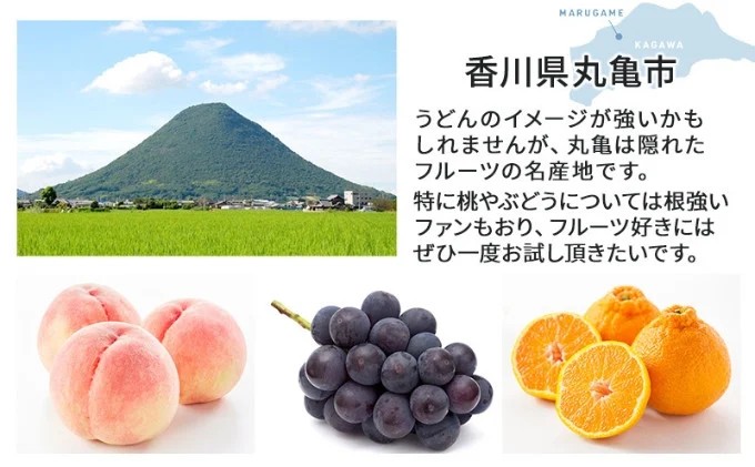 フルーツ 定期便 6ヶ月 丸亀市のいいとこどり定期便 セット 詰め合わせ 桃 ニューピオーネ シャインマスカット みかん いちご デコポン さぬきひめ せとか 果物 6回 半年 香川