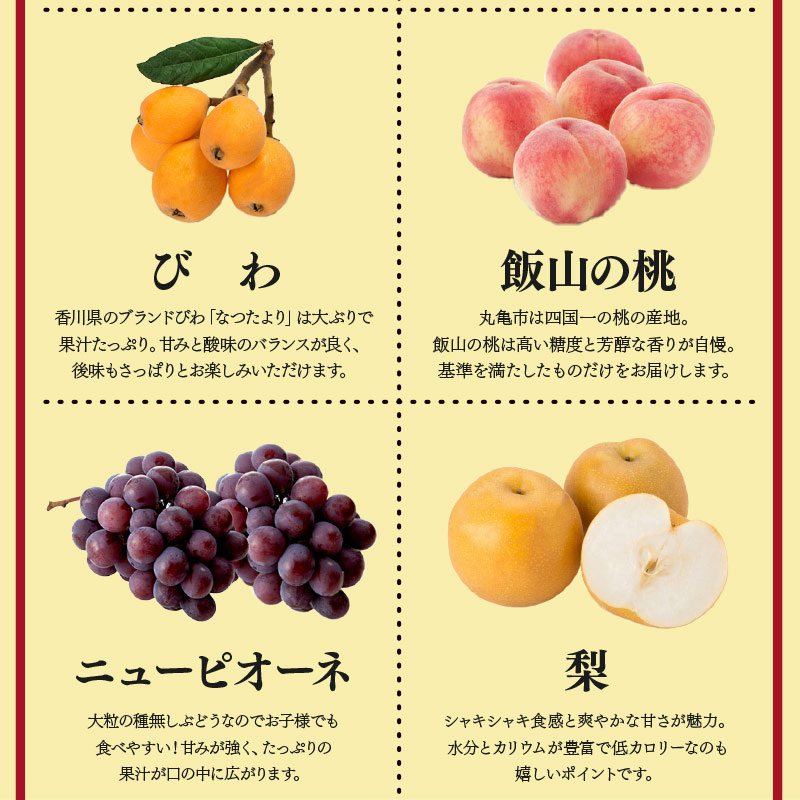 【定期便3回】 【満足パック】 フルーツ 果物 定期便  いちご 桃 シャインマスカット 苺 さぬきひめ もも 飯山の桃 飯山 詰め合わせ 旬のフルーツ 旬 ギフト フルーツ定期便 果物定期 果物定期便 人気果物  豪果絢爛 香川県 丸亀市