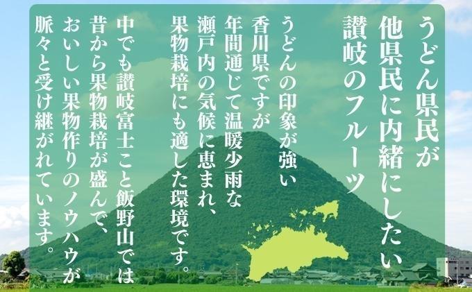 【旬の果実便り】 丸亀フルーツ定期便 全12ヶ月 果物 フルーツ 定期便 いちご キウイ はっさく もも デコポン びわ 桃 シャインマスカット みかん セット お楽しみ 香川県 丸亀市
