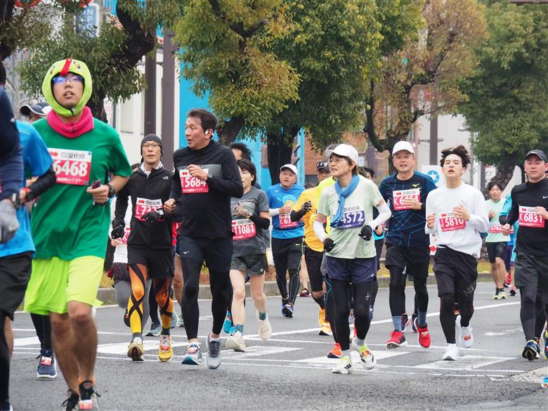 第78回 香川丸亀国際ハーフマラソン大会 出走権 1人 【登録&一般男女C】 マラソン ハーフマラソン 丸亀 丸亀ハーフ 運動 スポーツ 健康 アウトドア ランニング 冬 出場権 チケット イベント 香川県 丸亀市